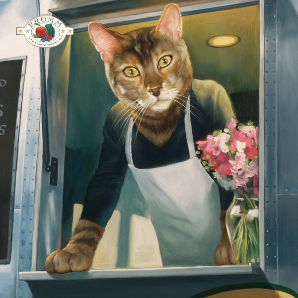 Fromm Four Star Surf & Turf Grain Free Recipe Dry Cat Food