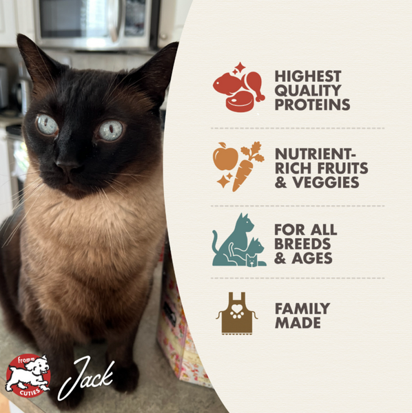 Fromm Four Star Surf & Turf Grain Free Recipe Dry Cat Food