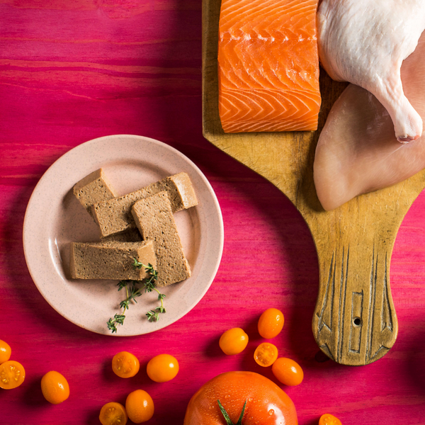 Fromm Four Star Chicken, Duck & Salmon Pate Cat Food