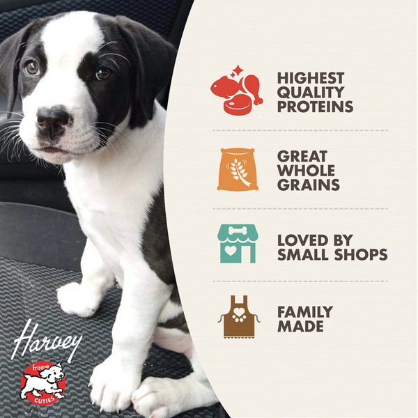 Fromm Gold Puppy Formula Dry Dog Food