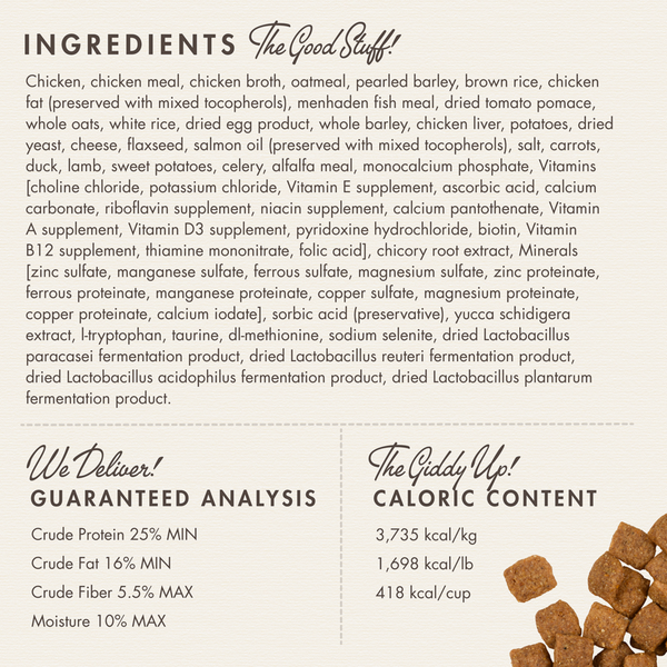 Fromm Gold Adult Dry Dog Food