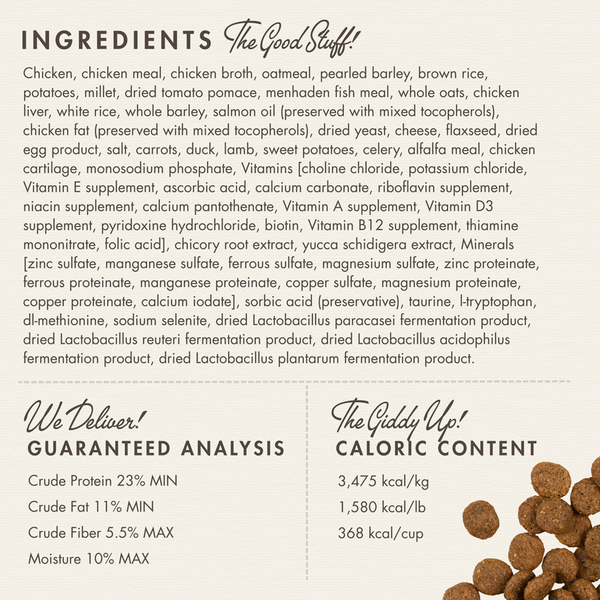 Fromm Gold Reduced Activity & Senior Formula Dry Dog Food