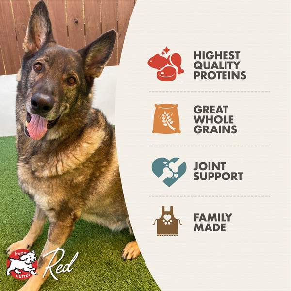 Fromm Gold Reduced Activity & Senior Formula Dry Dog Food