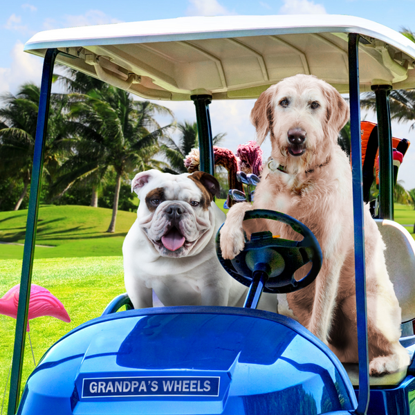 Fromm Gold Reduced Activity Senior Dog Food