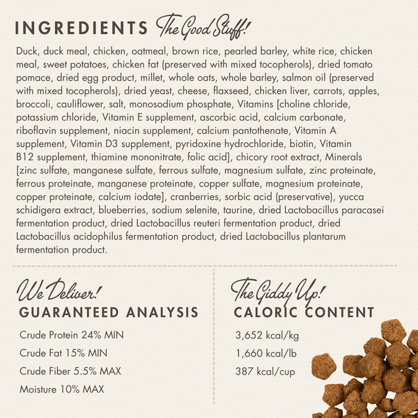 Fromm Four Star Duck A La Veg Recipe Dry Dog Food