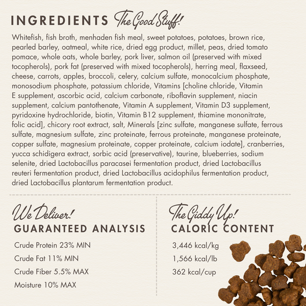 Fromm Four Star Whitefish & Potato Recipe Dry Dog Food