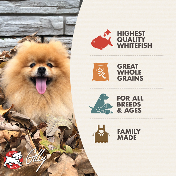 Fromm Four Star Whitefish & Potato Recipe Dry Dog Food