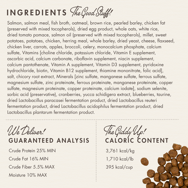 Fromm Four Star Salmon A La Veg Recipe Dry Dog Food