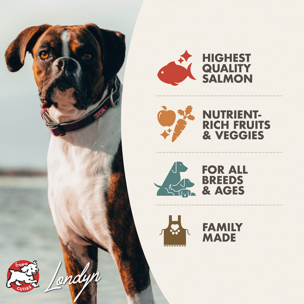 Fromm Four Star Salmon A La Veg Recipe Dry Dog Food
