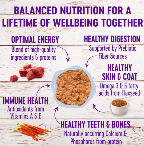 Wellness Complete Health Pate Beef and Salmon Entree Wet Cat Food