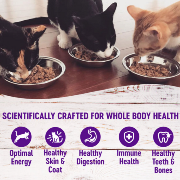 Wellness Complete Health Pate Beef and Salmon Entree Wet Cat Food