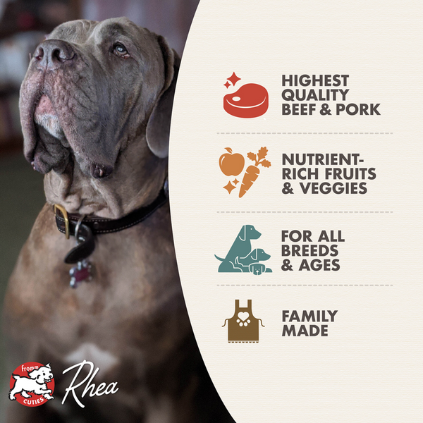 Fromm Four Star Beef Frittata Veg Recipe Dry Dog Food