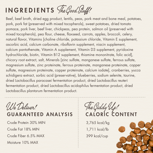 Fromm Four Star Beef Frittata Veg Recipe Dry Dog Food