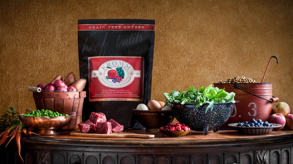 Fromm Four Star Grain Free Beef Frittata Dog Food