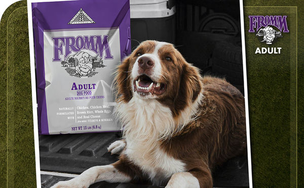 Fromm Classic Adult Formula Dry Dog Food