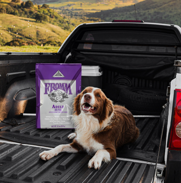 Fromm Classic Adult Formula Dry Dog Food
