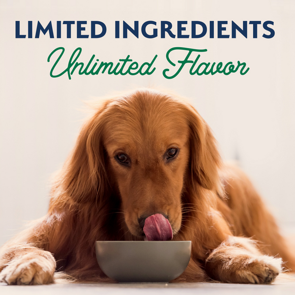 Natural Balance Limited Ingredient Wet Dog Food, Lamb & Brown Rice Recipe