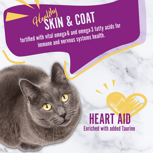 Earthborn Holistic Feline Vantage Natural Cat Food