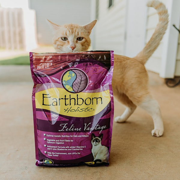 Earthborn Holistic Feline Vantage Natural Cat Food