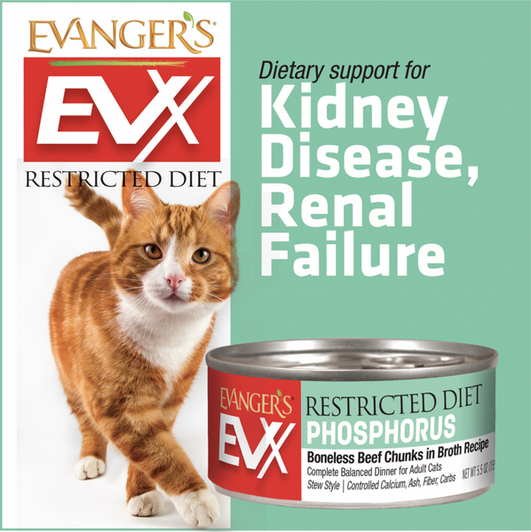 Evanger's EVX Restricted Diet Low Phosphorus Boneless Beef for Cats