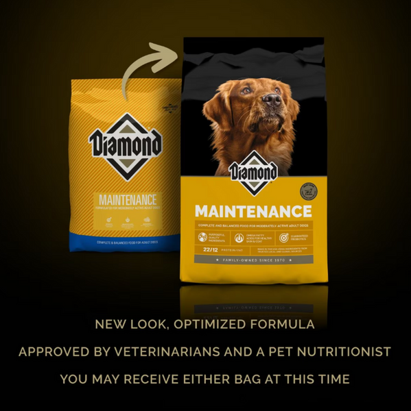 Diamond Maintenance Dry Dog Food