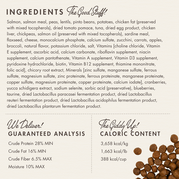 Fromm Four Star Salmon Tunalini Recipe Dry Dog Food