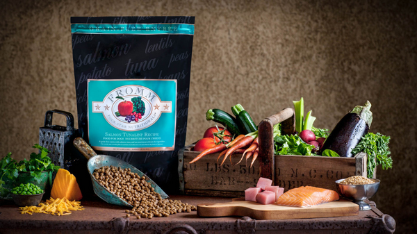 Fromm Four Star Grain Free Salmon Tunalini Dog Food