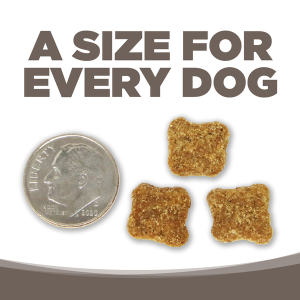 NutriSource Senior Chicken & Rice Dry Dog Food