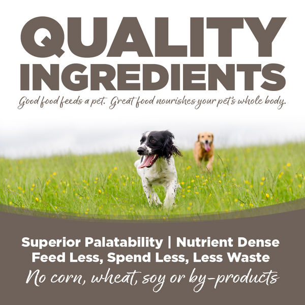 NutriSource Senior Chicken & Rice Dry Dog Food