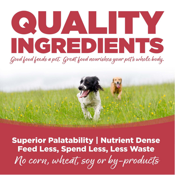 NutriSource Super Performance Chicken & Rice Dry Dog Food