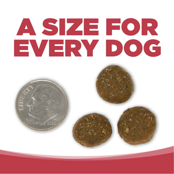 NutriSource Super Performance Chicken & Rice Dry Dog Food