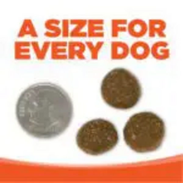 NutriSource Performance Chicken & Rice Dry Dog Food