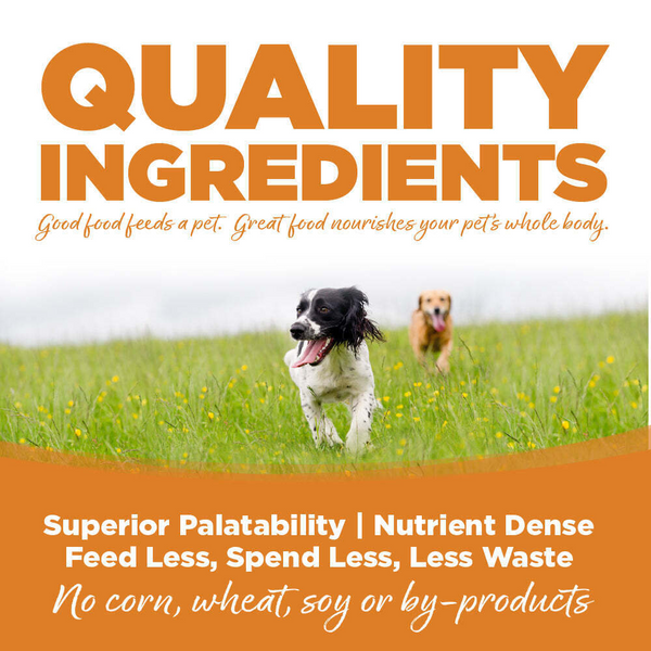 NutriSource Adult Lamb & Rice Canned Dog Food