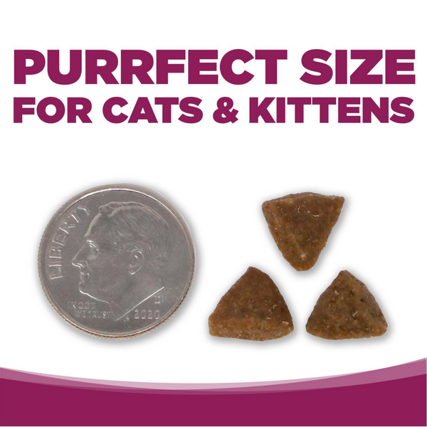 NutriSource Cat & Kitten Chicken & Rice Dry Cat Food