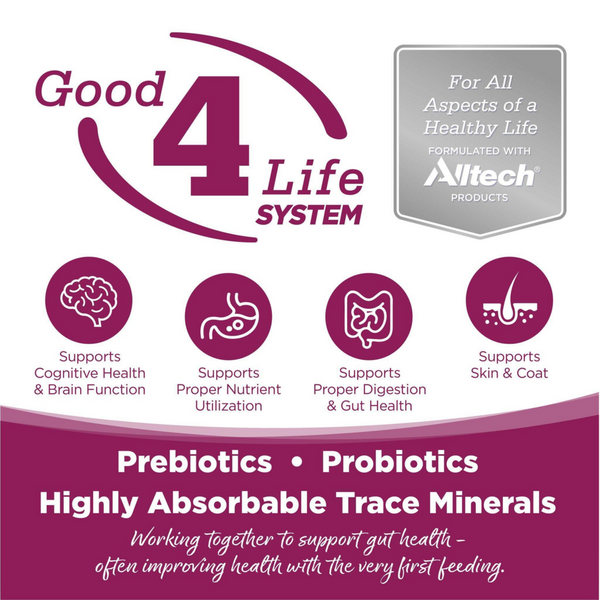 NutriSource Cat & Kitten Chicken & Rice Dry Cat Food