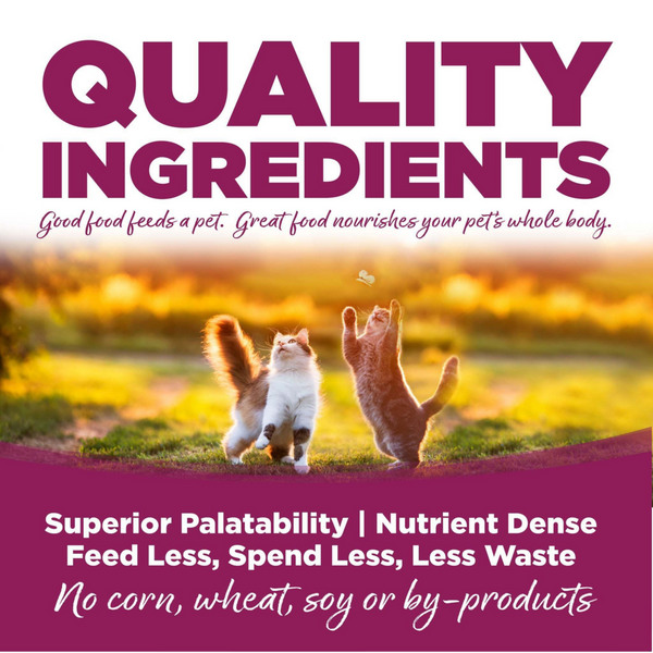 NutriSource Cat & Kitten Chicken & Rice Dry Cat Food