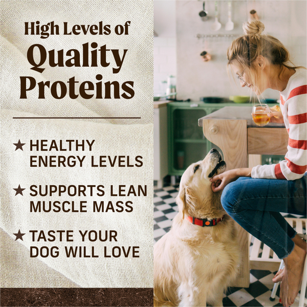 Merrick Grain Free Chicken and Sweet Potato Adult Dry Dog Food