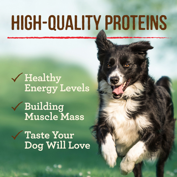 Merrick Grain Free Texas Beef and Sweet Potato Adult Wet Dog Food
