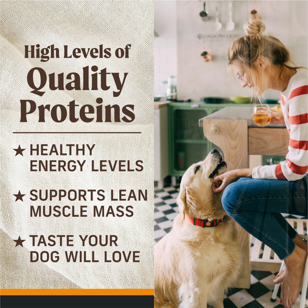 Merrick Grain Free 96% Chicken Adult Wet Dog Food