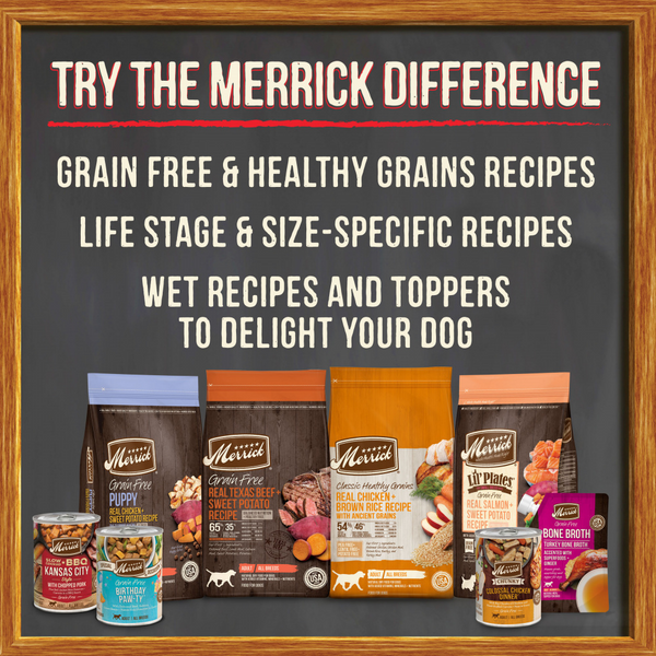 Merrick Grain Free Wingaling Canned Dog Food