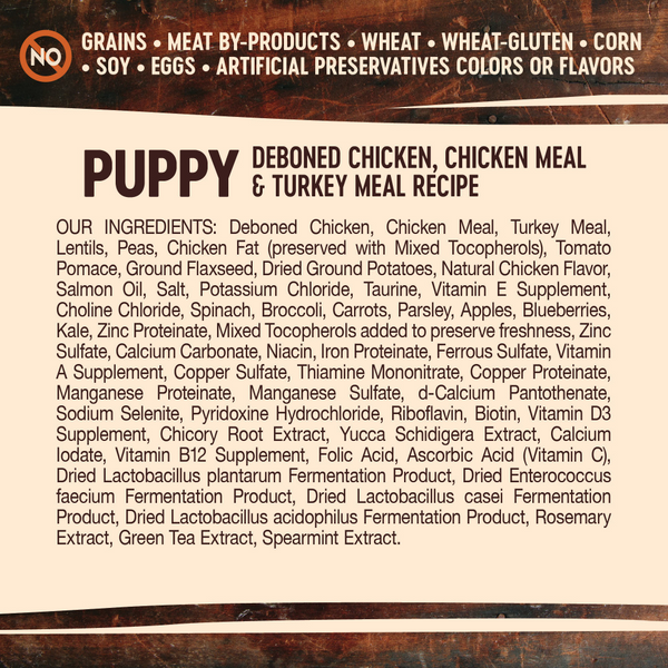 Wellness Core Grain Free Natural Puppy Health Chicken & Turkey Recipe Dry Dog Food