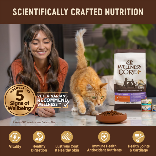 Wellness CORE Grain Free Natural Indoor Health Chicken and Turkey Recipe Dry Cat Food