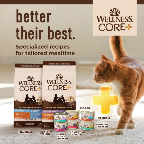 Wellness CORE Natural Grain Free Indoor Chicken and Chicken Liver Smooth Pate Wet Canned Cat Food