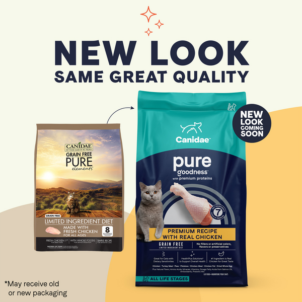 Canidae Pure Grain Free Dry Cat Food with Real Chicken