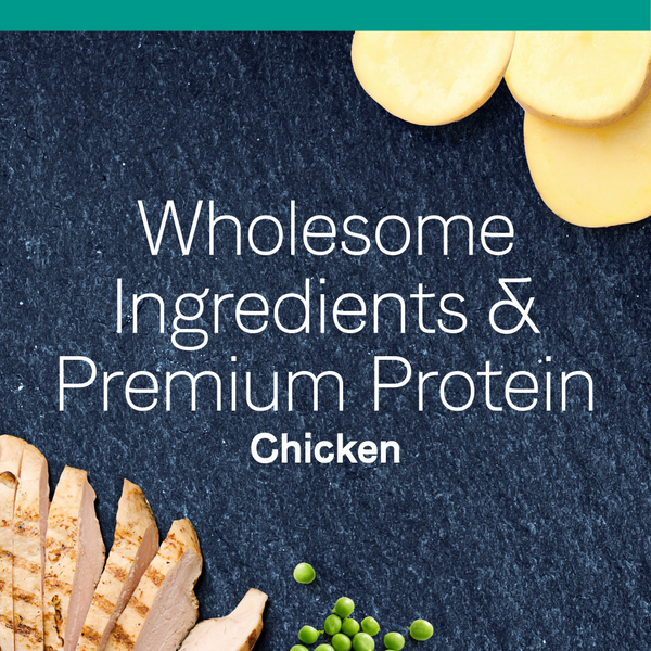 Canidae Pure Grain Free Dry Cat Food with Real Chicken