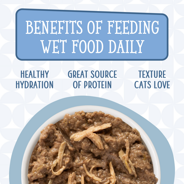 Weruva Cats in the Kitchen Splash Dance Canned Cat Food