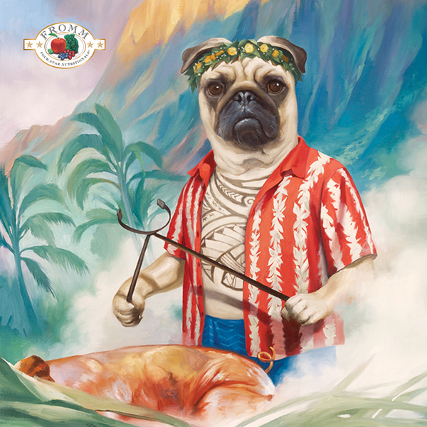 Fromm Four Star Pork & Peas Recipe Dry Dog Food