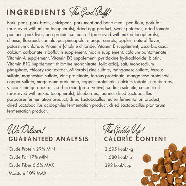 Fromm Four Star Pork & Peas Recipe Dry Dog Food