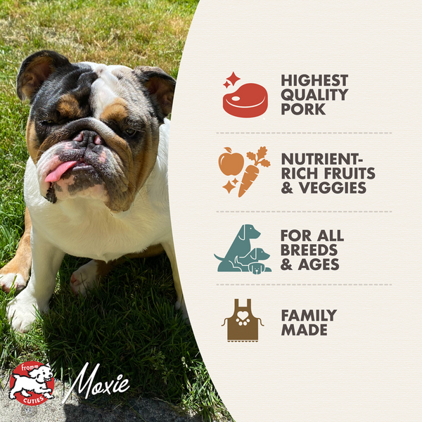 Fromm Four Star Pork & Peas Recipe Dog Food