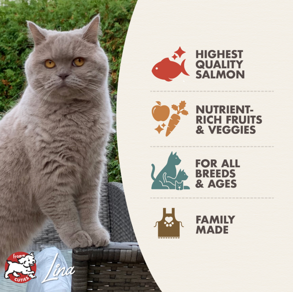 Fromm Four Star Salmon Tunachovy Grain Free Recipe Dry Cat Food